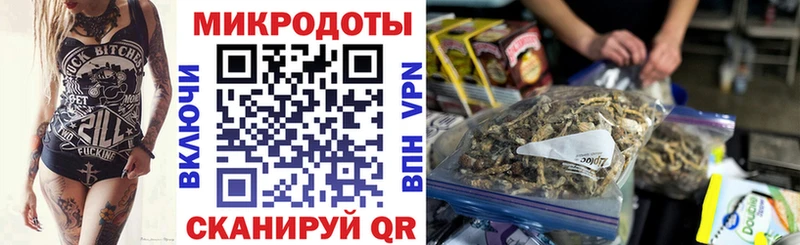 Галлюциногенные грибы Psilocybine cubensis  Чапаевск 